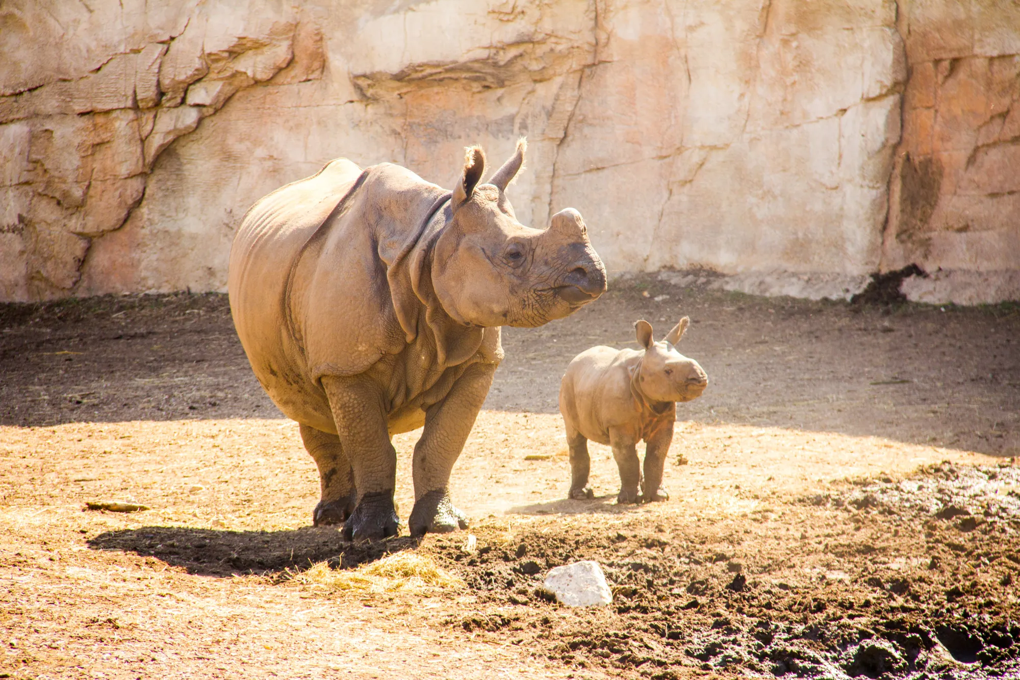 Terra Natura Benidorm