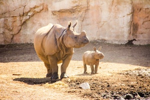Terra Natura Benidorm