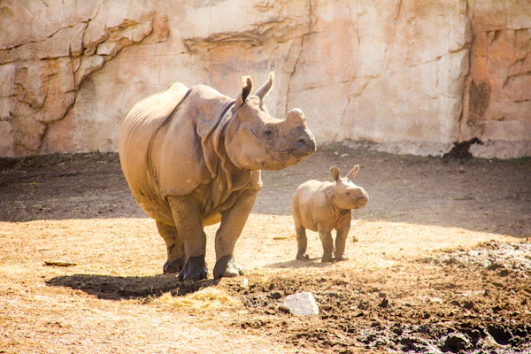 Terra Natura Benidorm