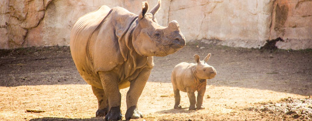 Terra Natura Benidorm
