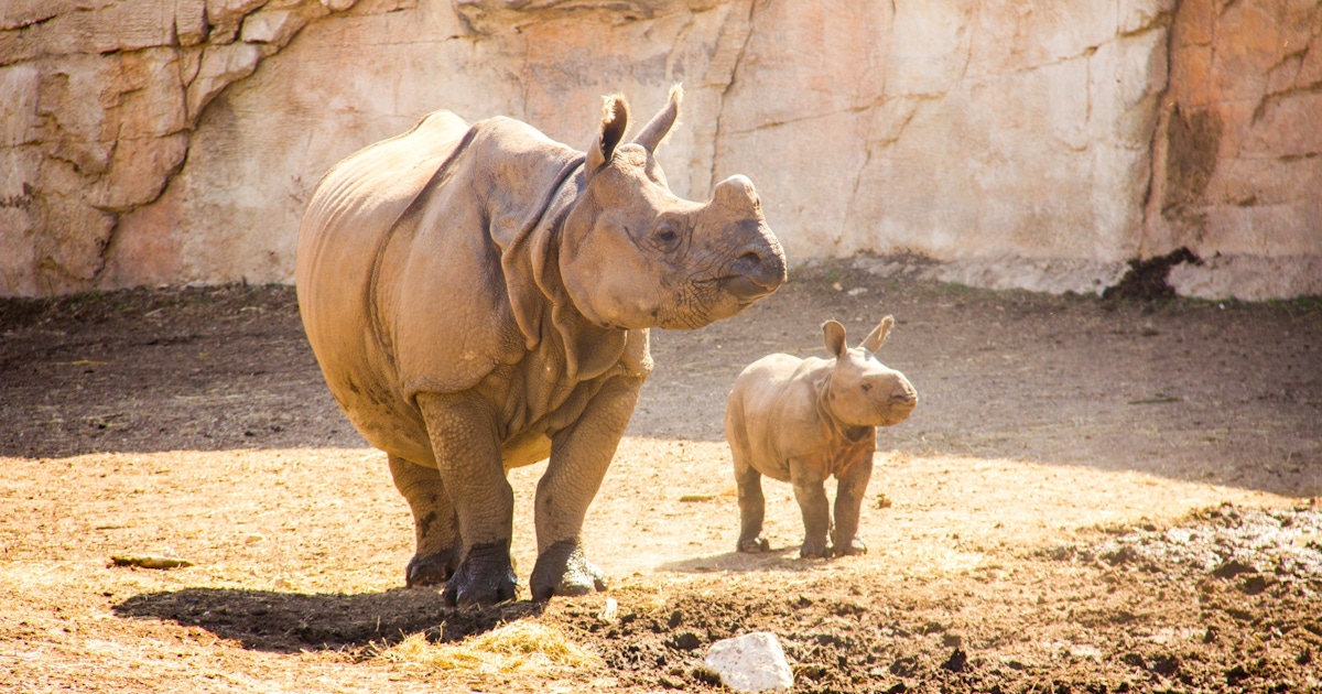 Terra Natura Benidorm Tickets & Tours