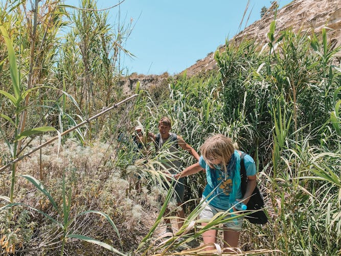 Valley walking tour in Karpathos