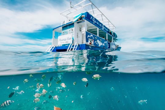 Nage avec les dauphins et tuba dans le récif à Oahu