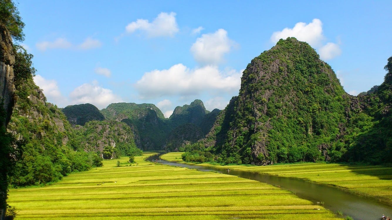 Full day guided tour from Hoa Lu to Tam Coc with lunch Musement