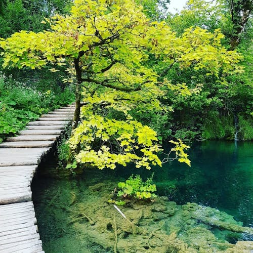 Entrance tickets and private tour of Plitvice Lakes