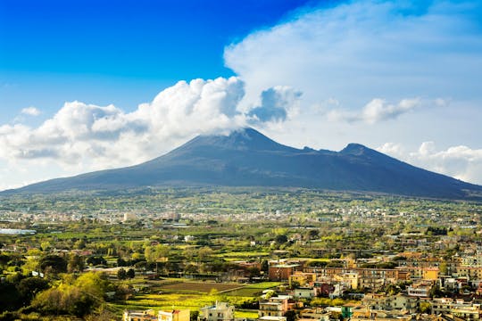 Dagtrip naar de archeologische opgravingen van Pompeii en de Vesuvius