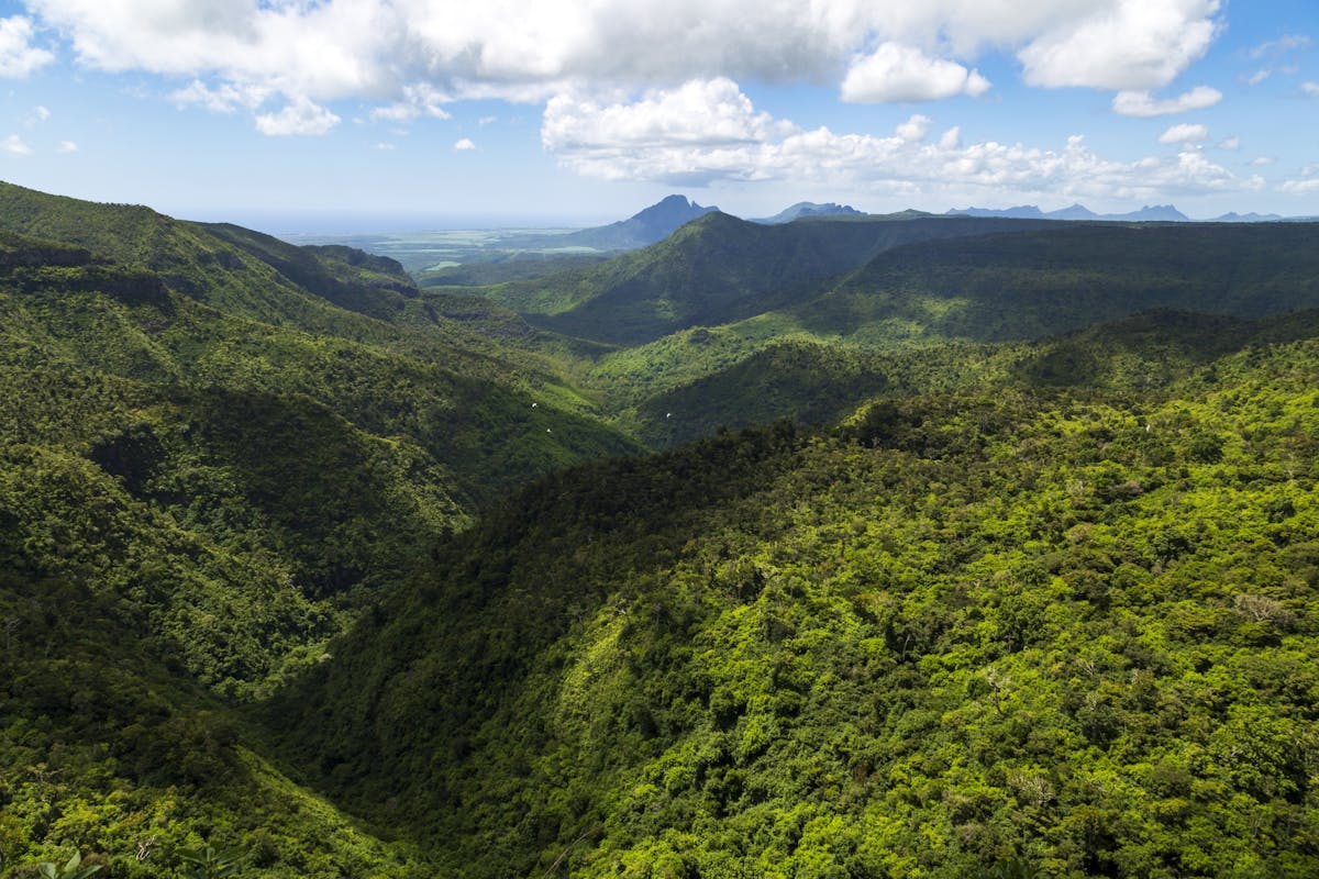 Wandeling door de Black River Gorges op Mauritius