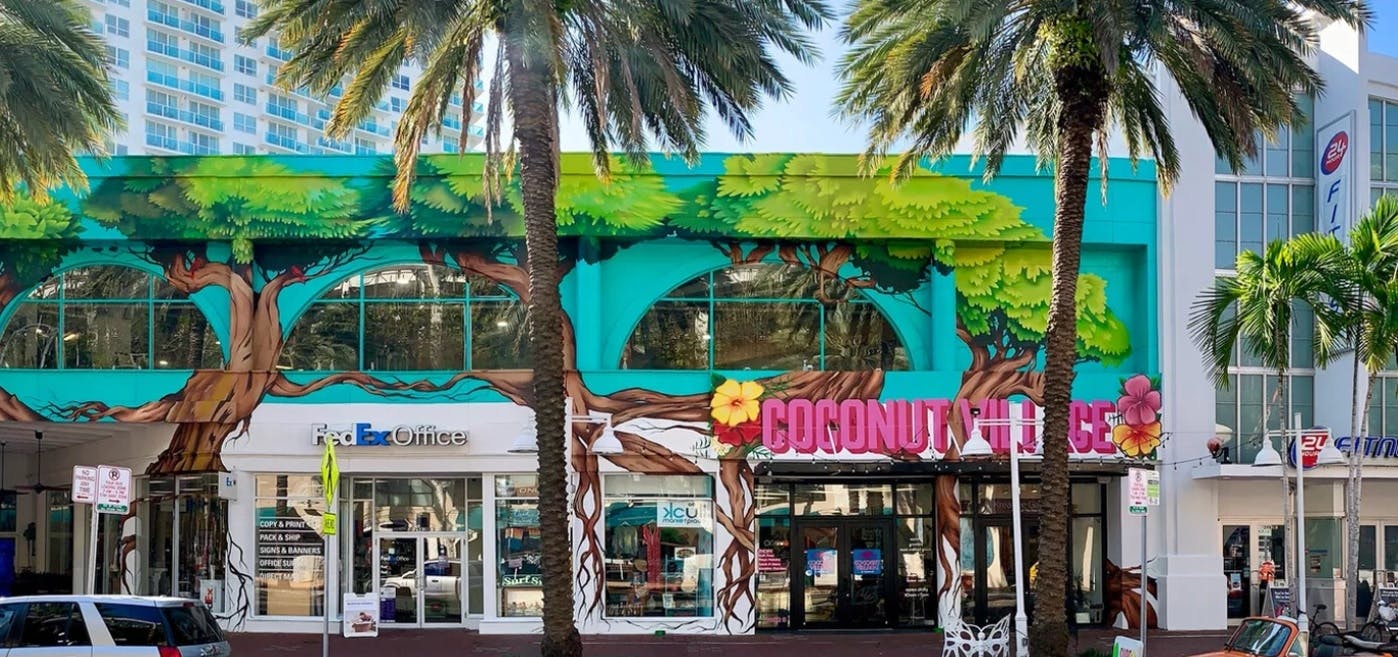 Miami Coconut Grove Downtown guided tour