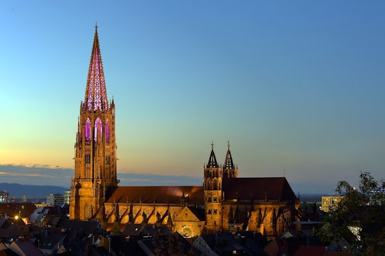 Freiburg walking tour with Cathedral visit