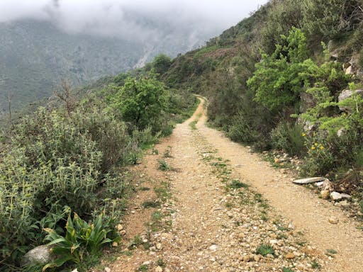Corfu 4x4 Adventure