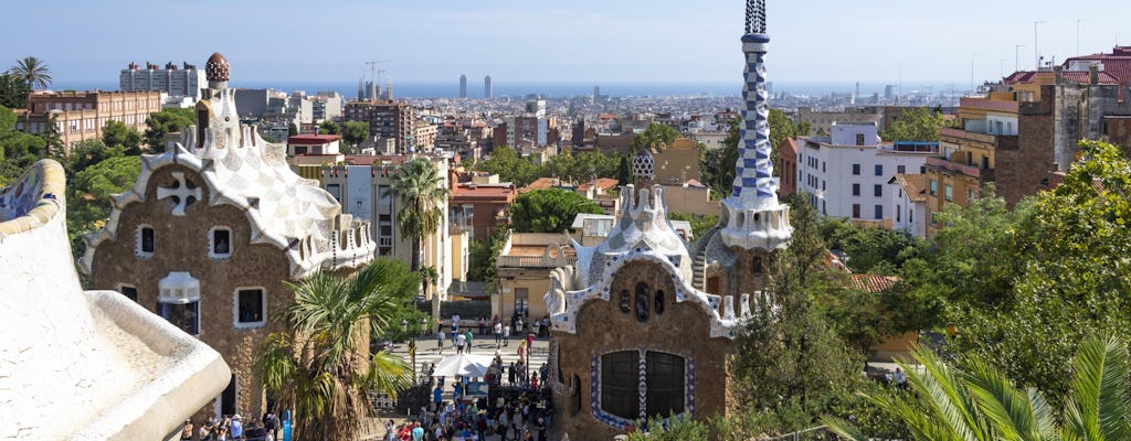 Park Güell privé tour met een lokale gids