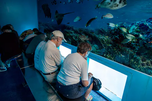 Mahon Harbour Boat Tour and Gin Tasting