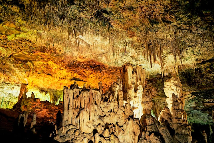 Guided Tour of Hams Caves & Dinosaurland Ticket