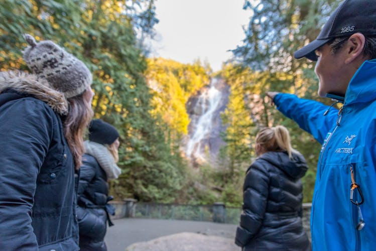 Whistler, Shannon Falls and Sky Gondola tour from Vancouver