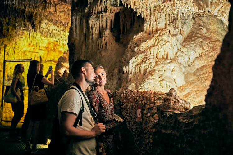 Guided Tour of Hams Caves & Dinosaurland Ticket