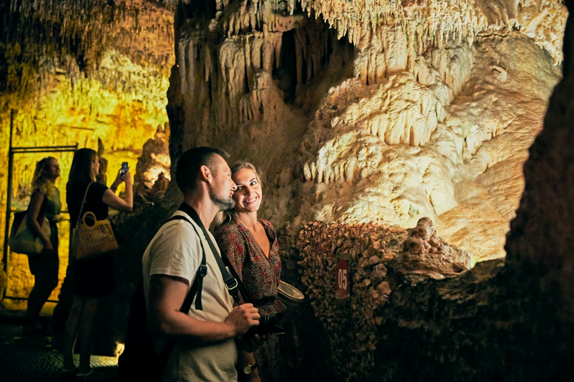 Guided Tour of Hams Caves & Dinosaurland Ticket