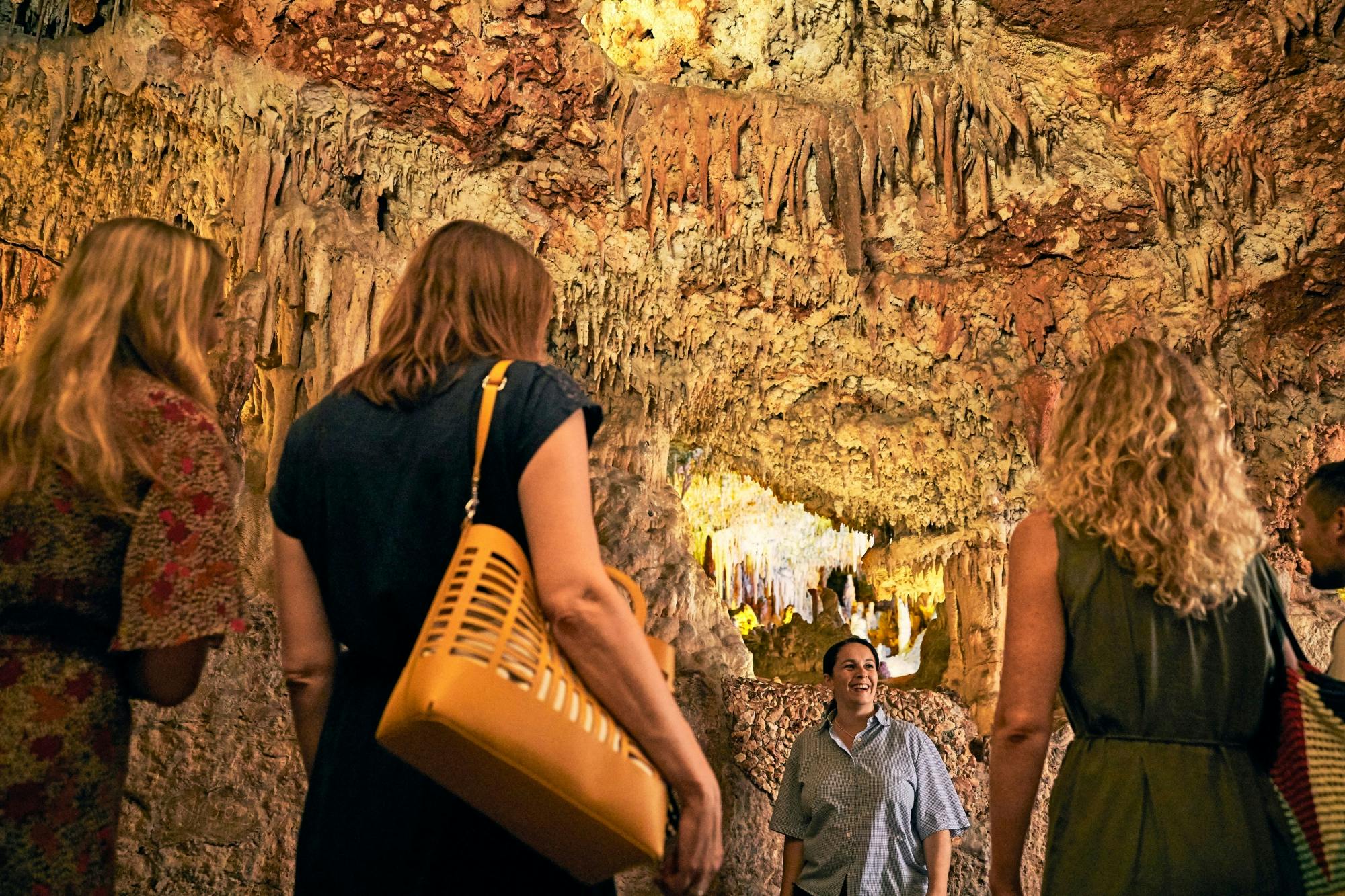 Guided Tour of Hams Caves & Dinosaurland Ticket