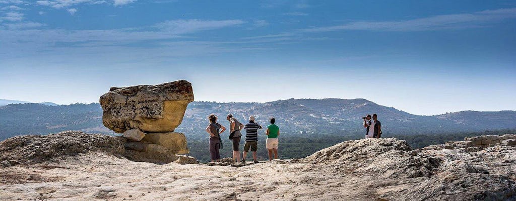 VIP-Tour zu antiken Palästen, minoischen Weinstraßen und dem Matala-Strand