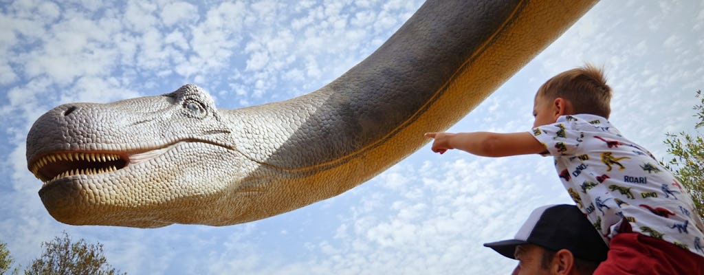 Guided tour of Hams Caves with Dinosaurland visit