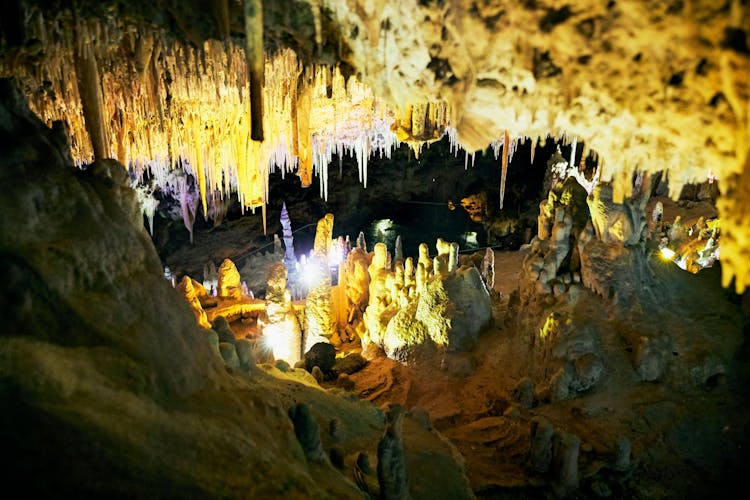 Guided Tour of Hams Caves with Dinosaurland Visit