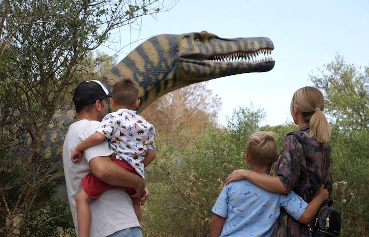 Guided Tour of Hams Caves with Dinosaurland Visit