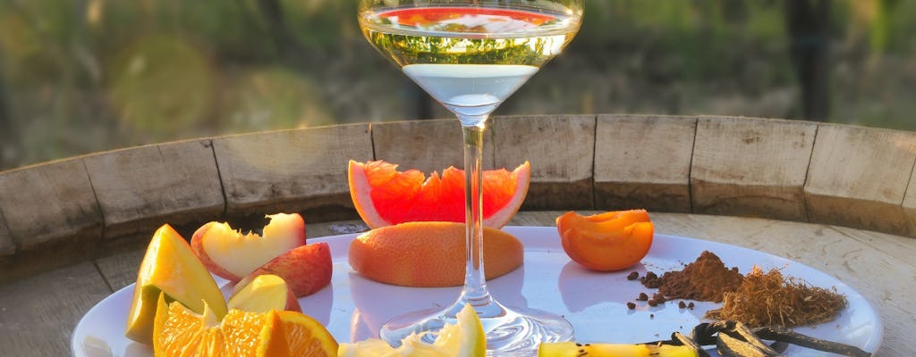 Tour e degustazione di vini a Siena