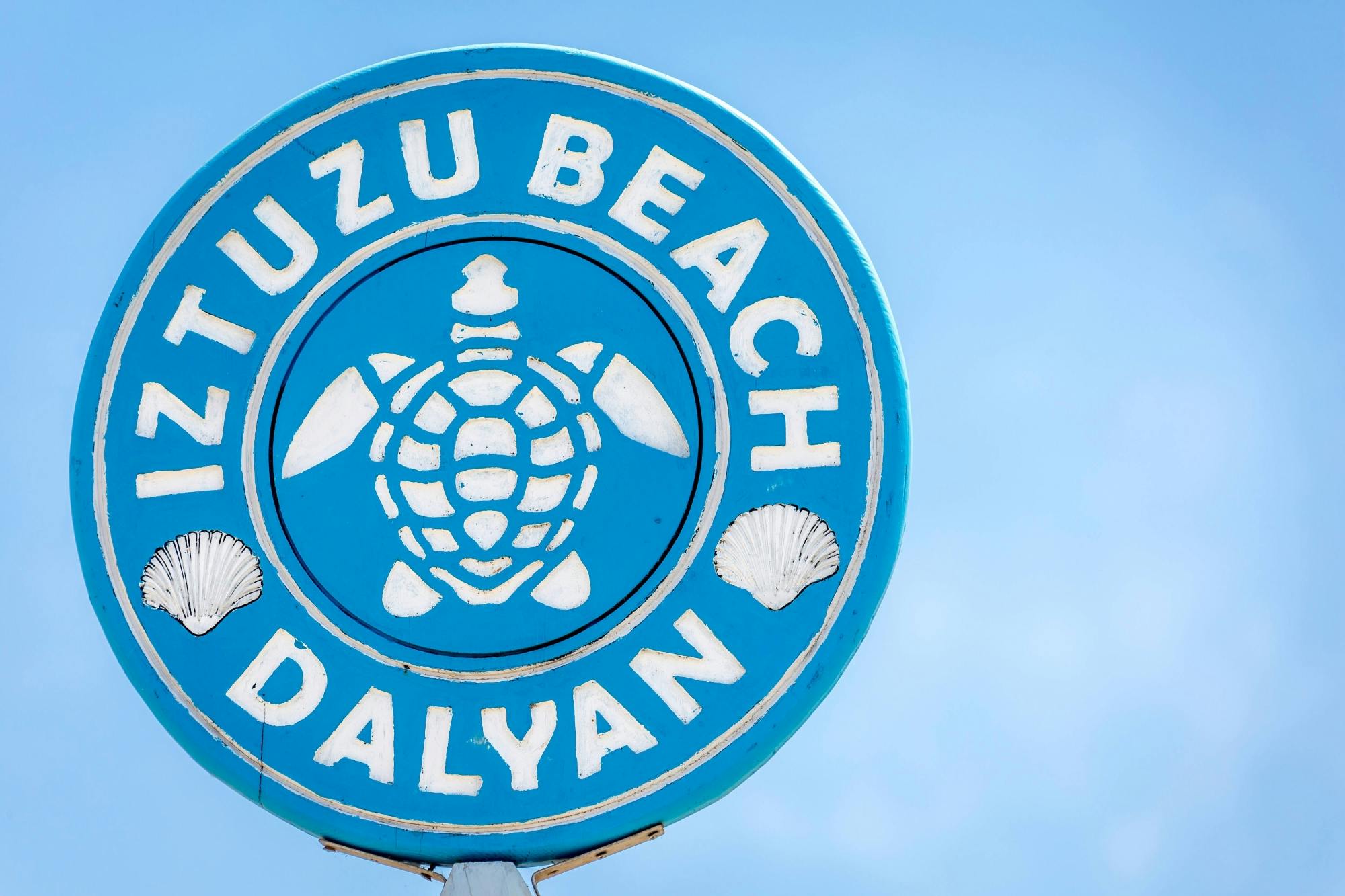 River Dalyan Turtle Watching Tour with transport