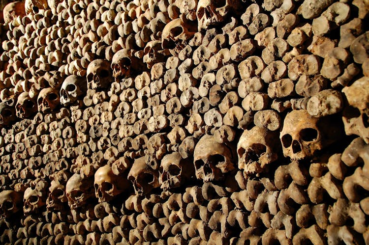 The Paris Catacombs - Skip-the-line with Audio Guide