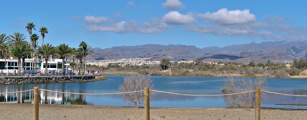 Visite du sud de Gran Canaria en E-Bike avec tapas