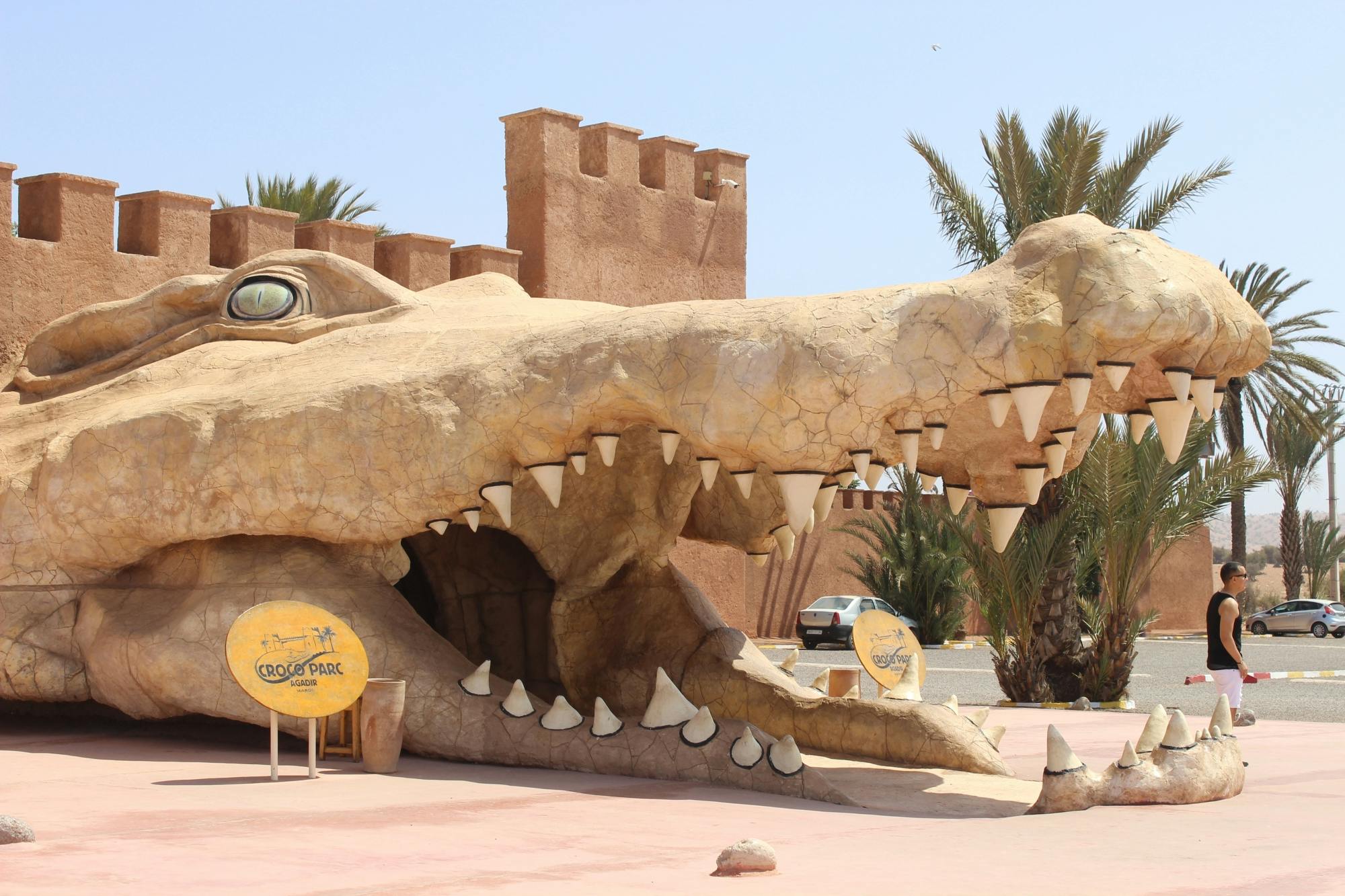 Crocoparc visit from Agadir or Taghazout with entrance fees Musement