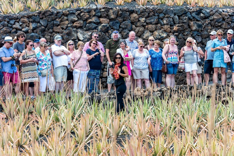 Lanzarote Island Tour