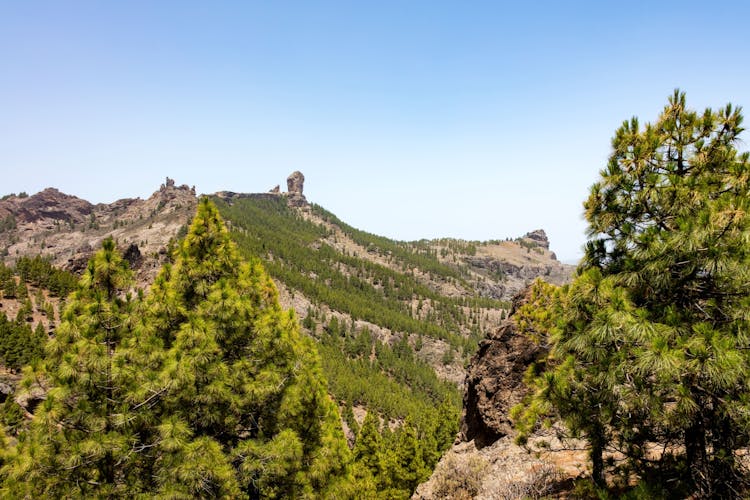 Jednodniowa Wycieczka Po Gran Canarii Z Teror Caldera De Tirajana I