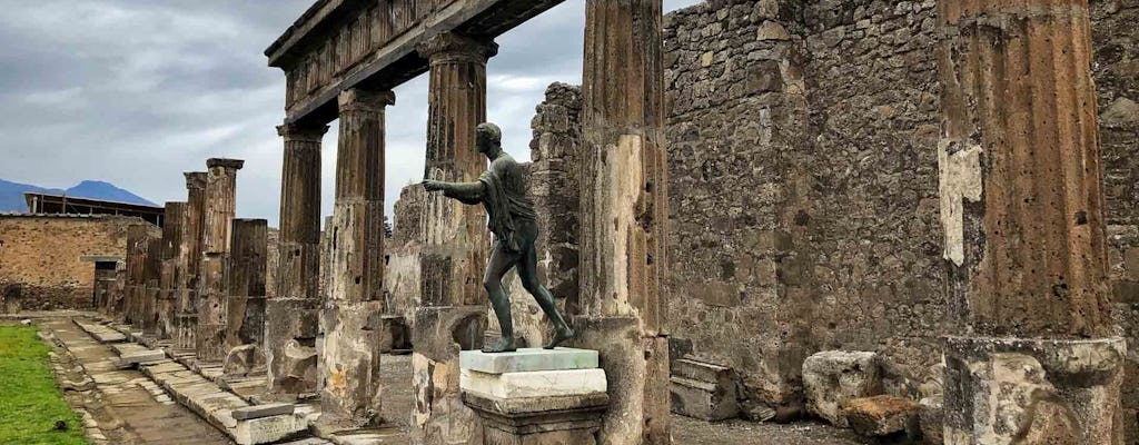 Pompeii guided tour with a private transfer from Sorrento