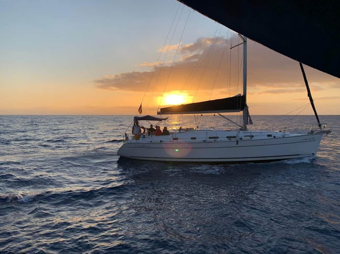 Eco Sailboat Cruise La Palma with Transfer