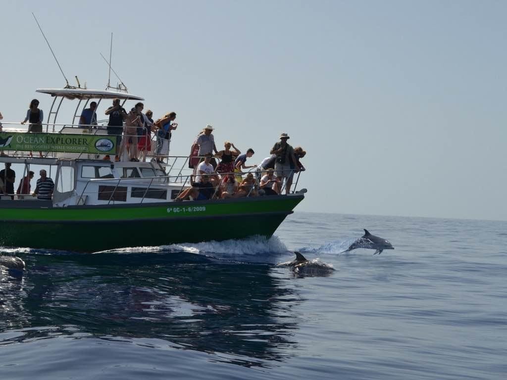 fareharbor-oceanexplorer|239416-452269