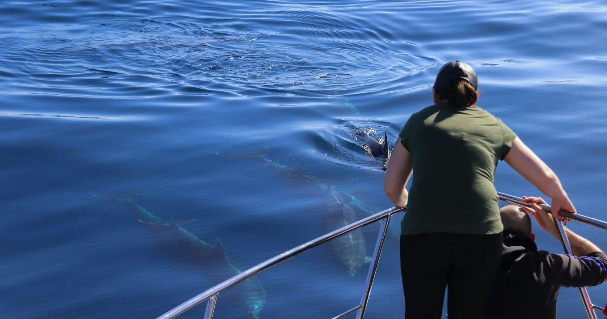 fareharbor-oceanexplorer|239416-452273