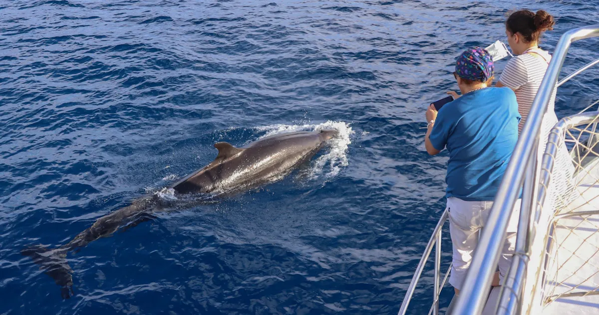 fareharbor-oceanexplorer|239416-614208