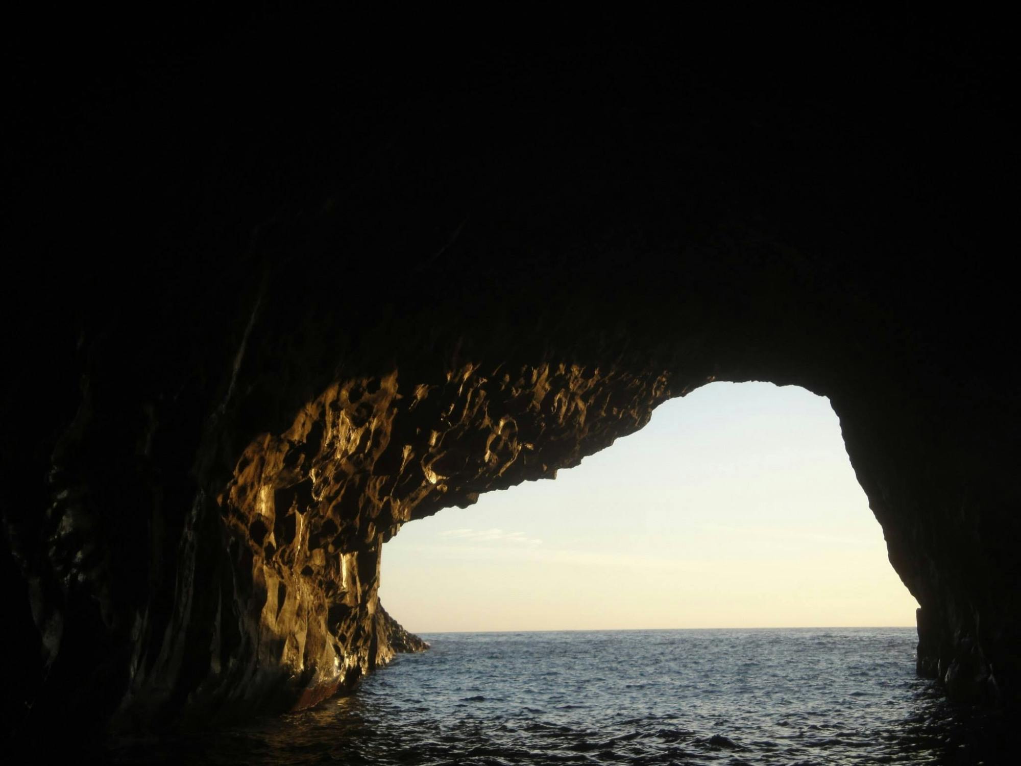 fareharbor-oceanexplorer|239416-614210