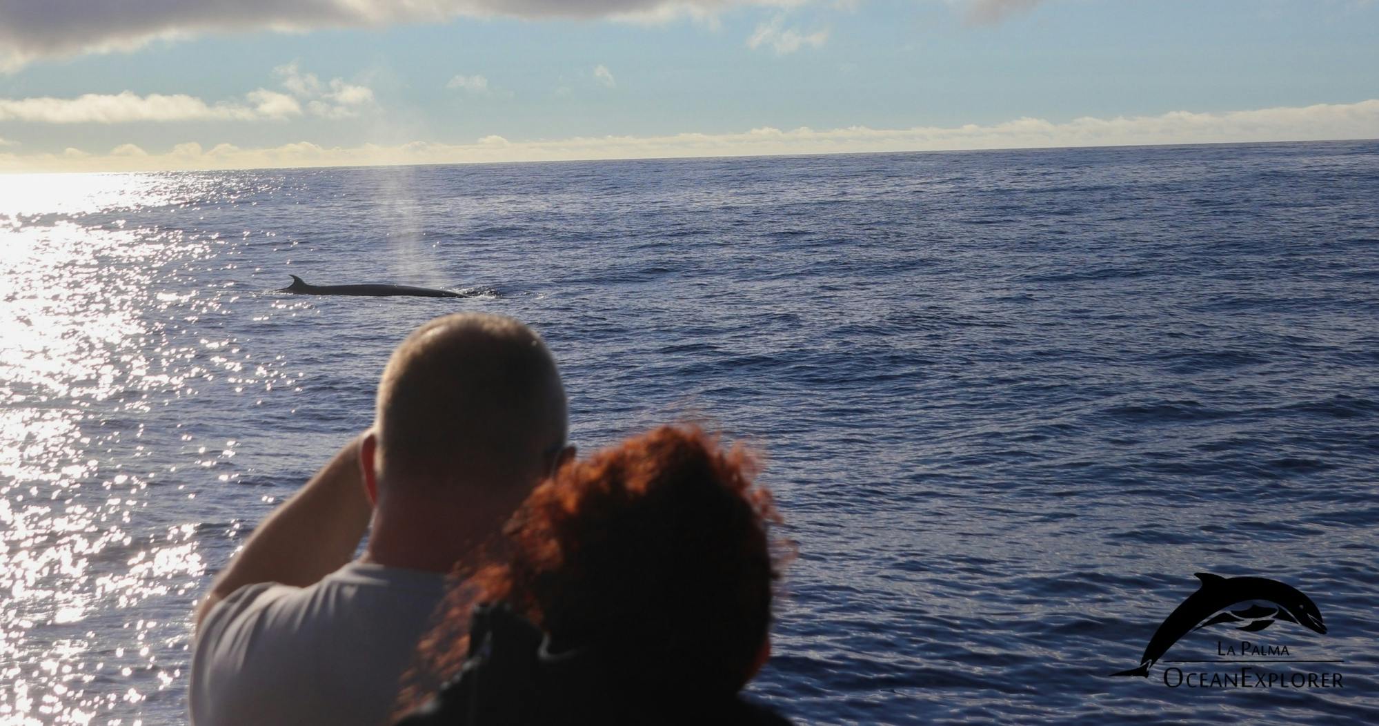 fareharbor-oceanexplorer|239416-634153