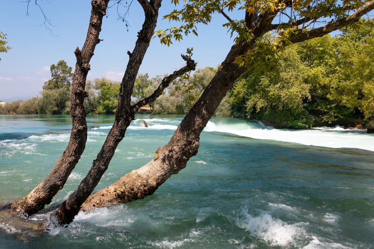 Manavgat market and river cruise