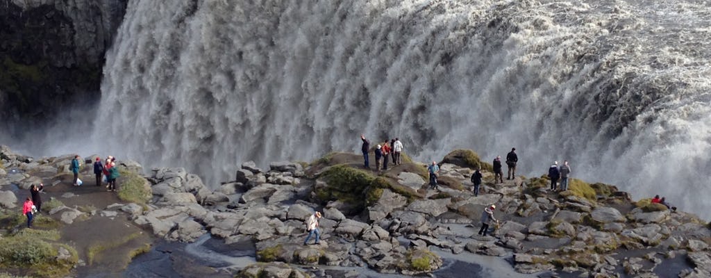 Dia de combinação privada: Lago Myvatn, Dettifoss, Selfoss e Godafoss Waterfalls Tour