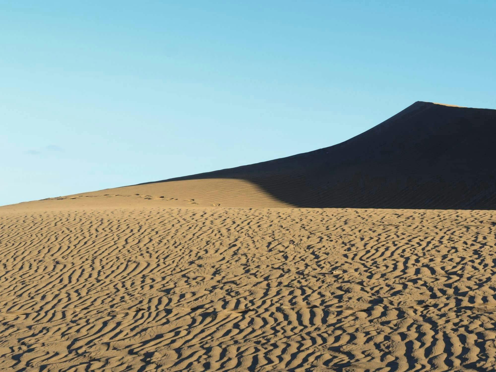 Maspalomas Camel Tour