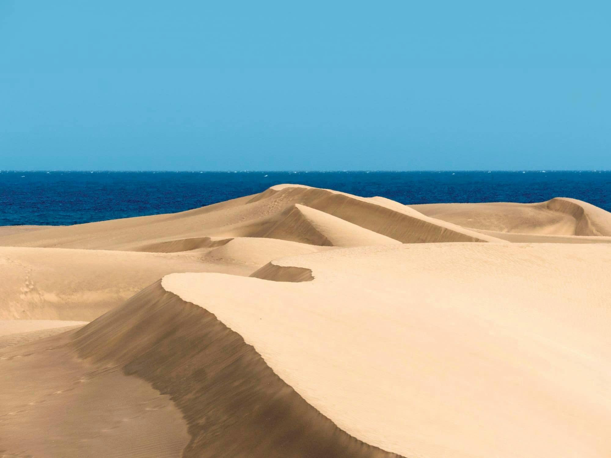 Maspalomas Camel Tour