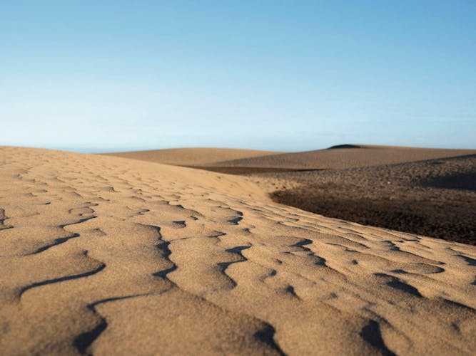 Maspalomas Camel Tour