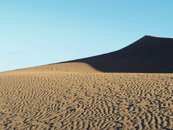 Maspalomas Camel Tour