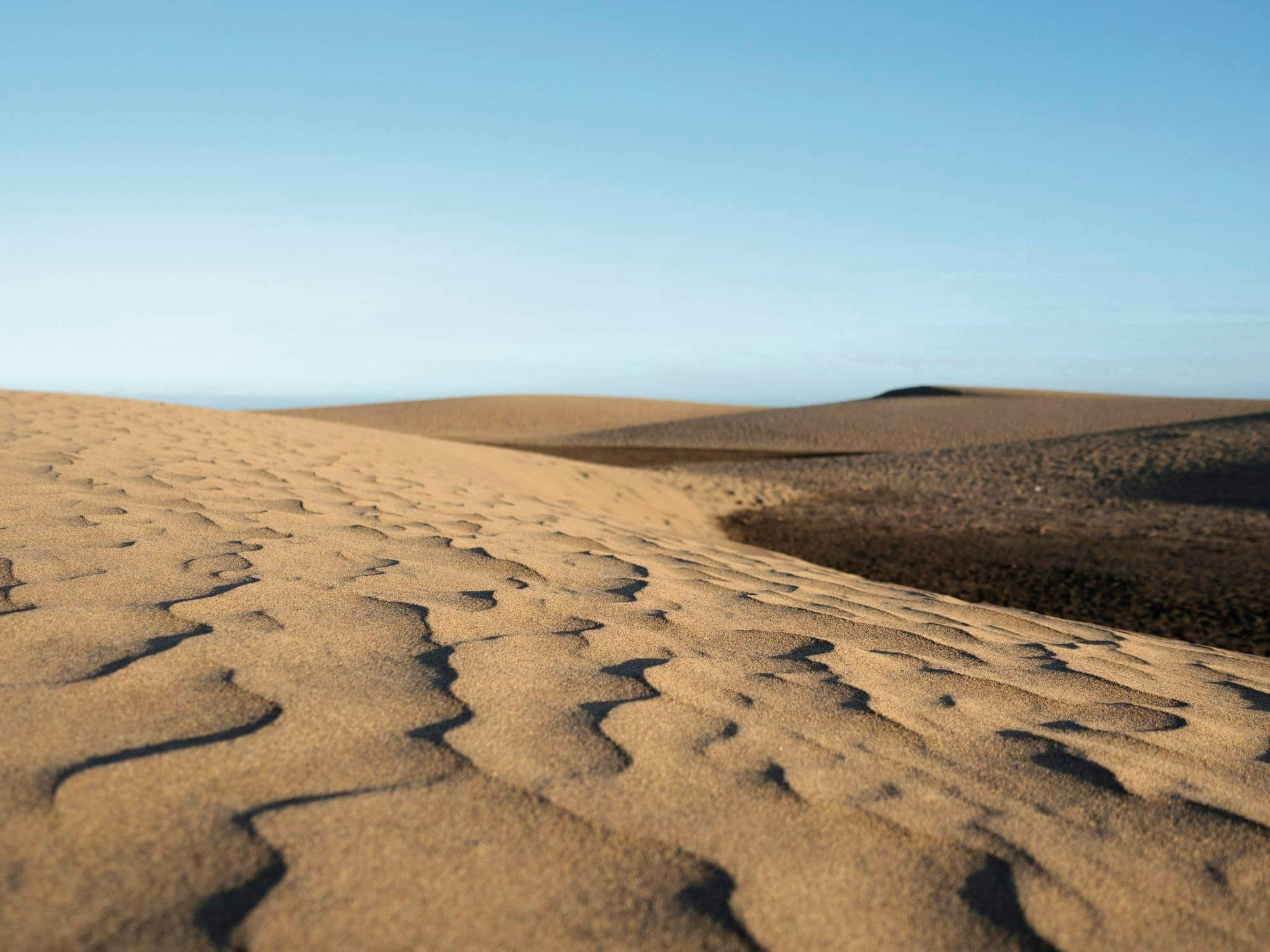 Maspalomas Camel Tour