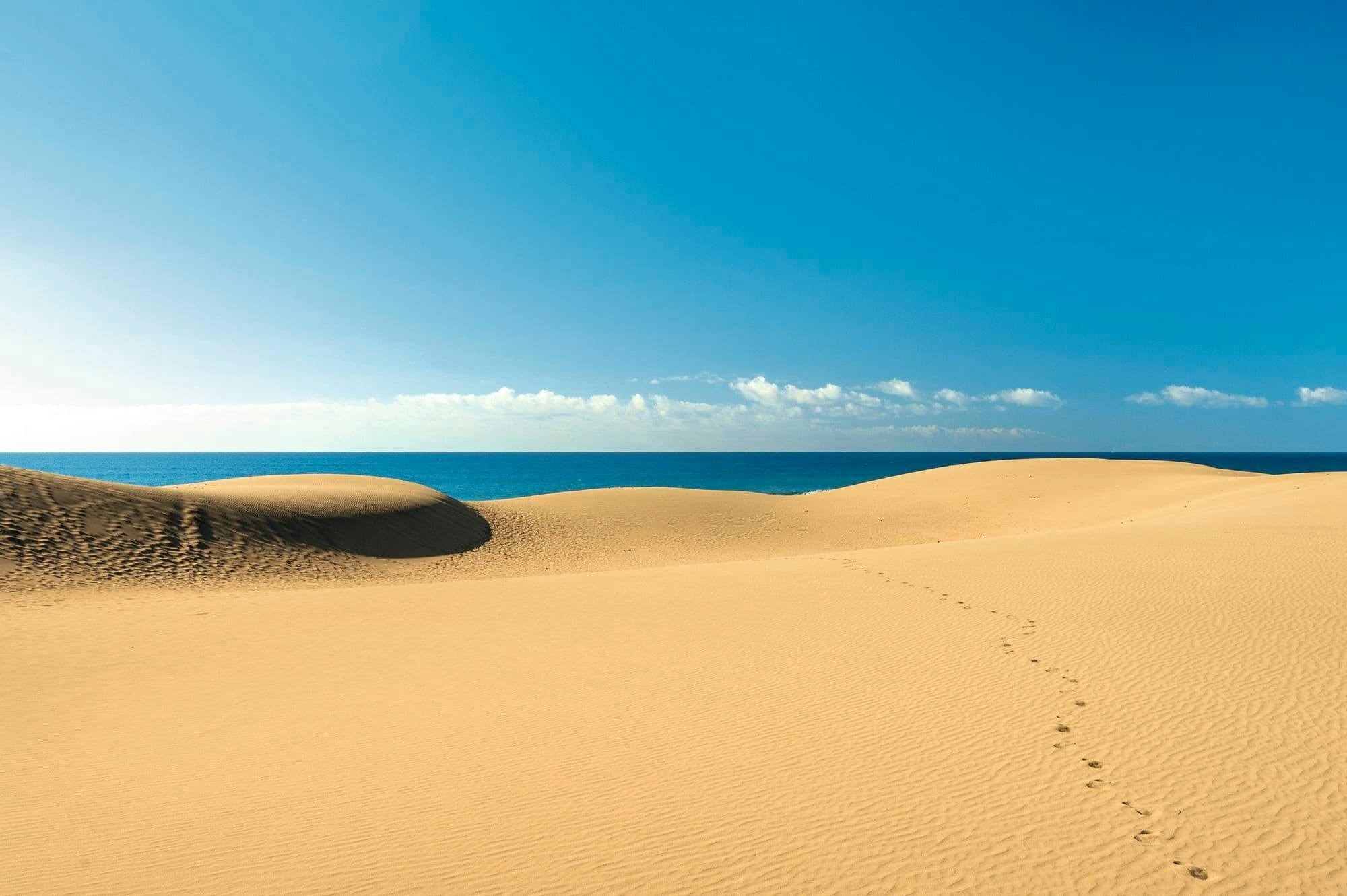 Maspalomas Camel Tour