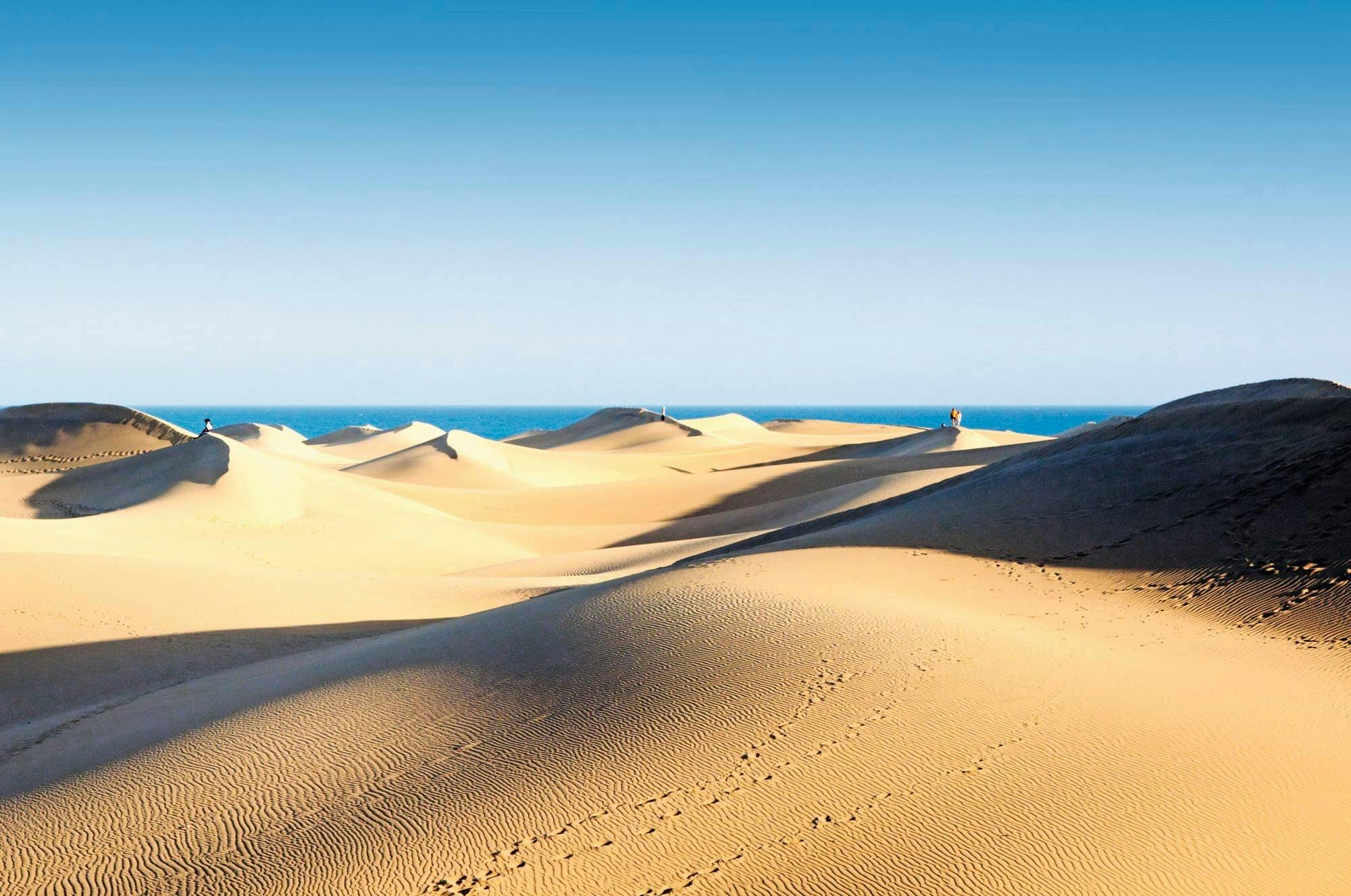 Maspalomas Camel Tour