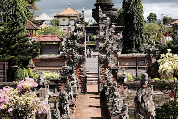 Visite privée pour un aperçu de Bali