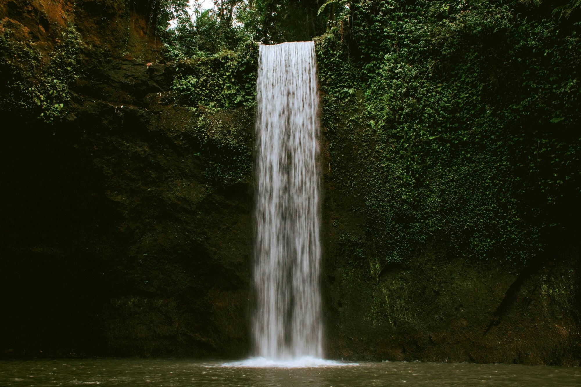 Bali – utflykt till vattenfallen